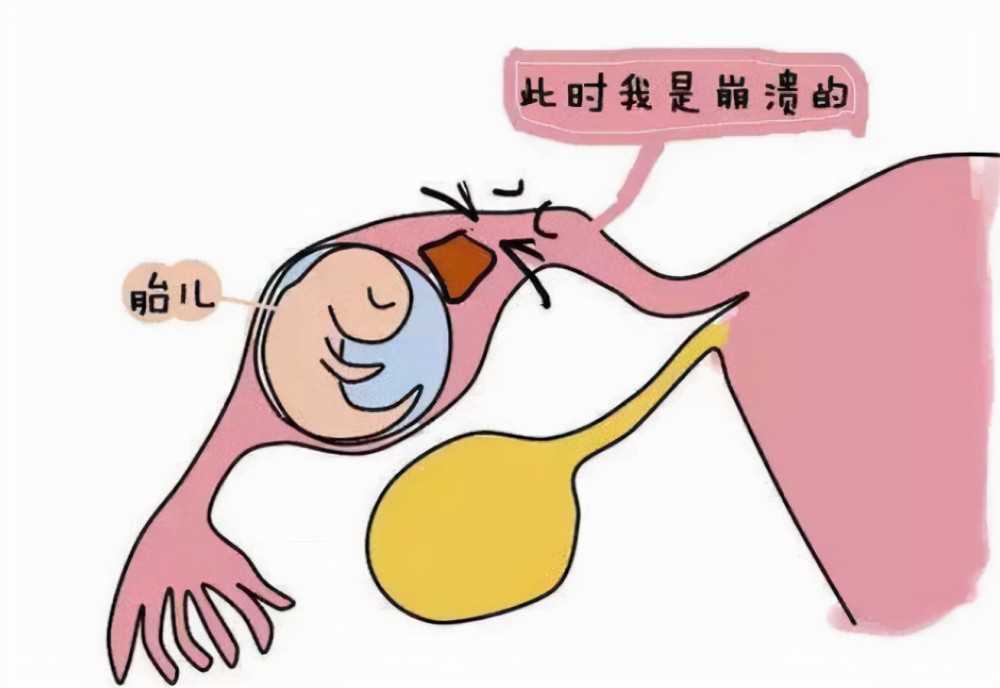 最专业的上海代孕,上海怎样借腹生子，上海陪诊公司—上海红房子医院陪诊—